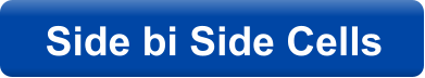 Side bi Side Cells
